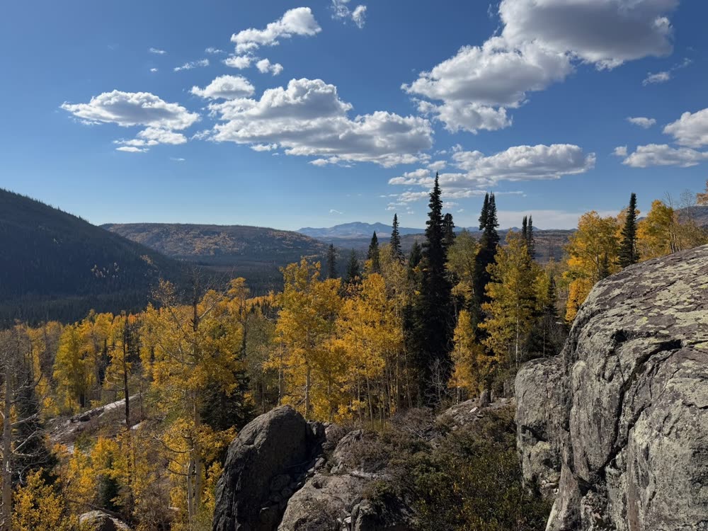 Golden aspens and dark spruce seen from granite rocks