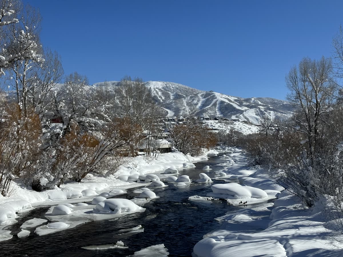 Snow-covered riverbank and cottonwoods along a mountain river in winter